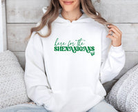 Thumbnail for Shenanigans Hoodie - lismoreboutique - Hoodie - Drinking_Hoodie